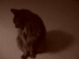 February 17, 2005<br><font size=2>Shadow of my Shadow</font><br>Day 287