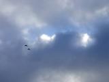 DSC03843.JPG