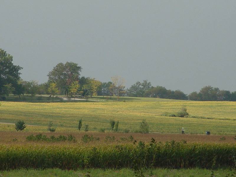 September 15, 2004<br><font size=2>Fields of Gold</font><br>Day 132
