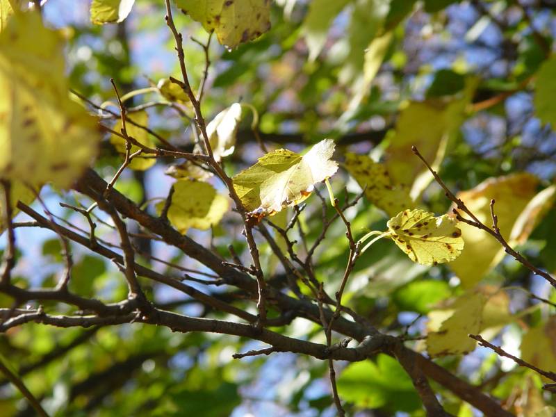 DSC04055.JPG