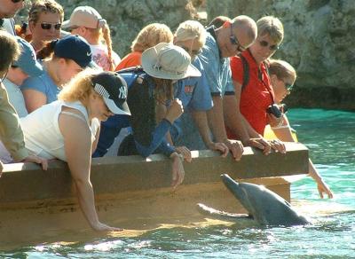 Donna with Dolphins