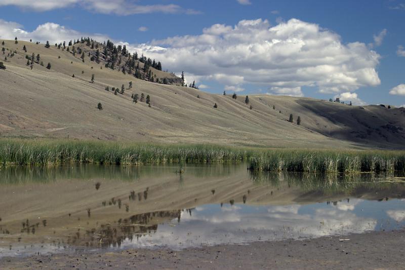 Beaver Ranch Flats Bird Sanctuary