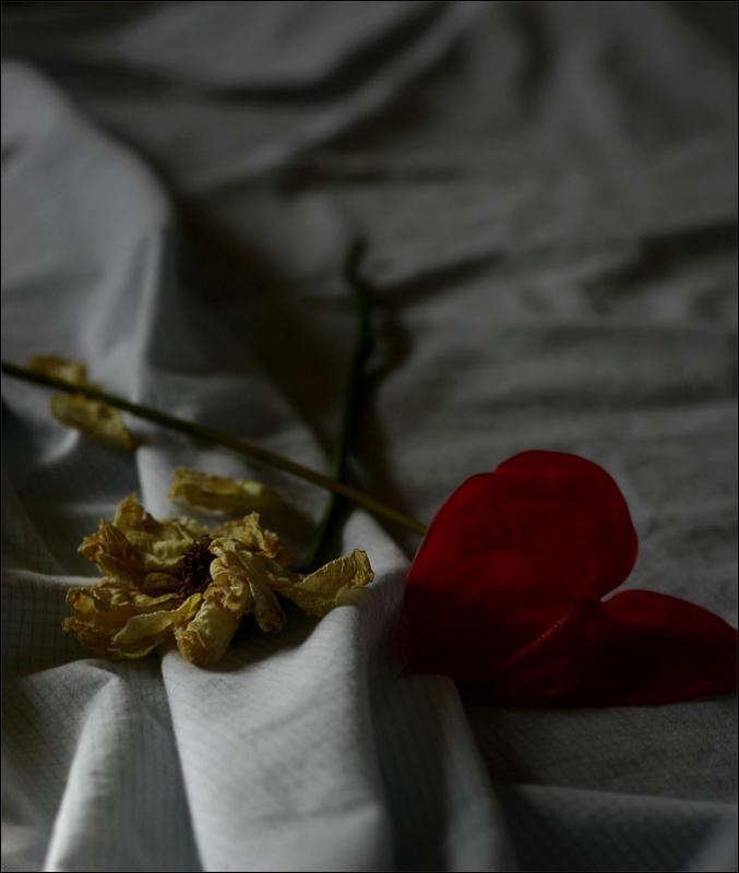 Love and Decay