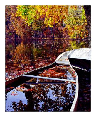 2nd Place Autumn Lake by Roumen Kostov