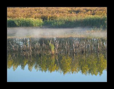 Upside-down* by arra