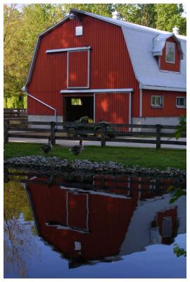 *A Touch of Red*by Paul Stuckless