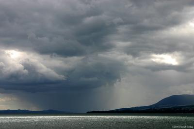 Storm*