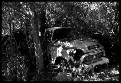 Forgotten* by Paul Stuckless