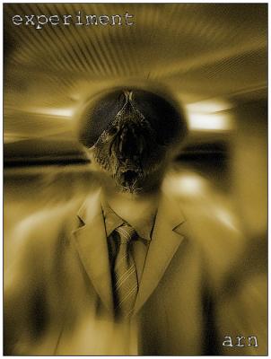 4th PlaceThe experiment*by Arn