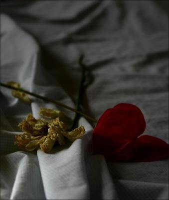 Love and Decay