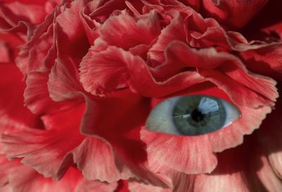 Floral Vision