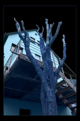 BlueNight