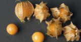 Im sorry but you have Physalis *