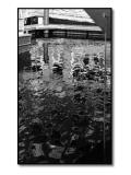 <b>Dock</b><br> <i> by Dick Tsang</i>