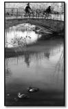 <b>Two Pairs</b><br><i> by Dick Tsang</i>