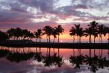 <b>Hawaii Sunset</b><br>Aggie96