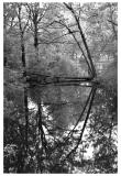 <b>*Quiet Reflection*</b><br><i>by Paul Stuckless</i>