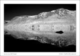 <b>10th Place<br> IR Reflection</b><br>by Karthik