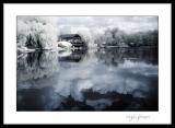 <b>9th Place<br> Pond Reflections</b><br><i>by Angela Johnson</i>