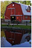 <b>*A Touch of Red*</b><br><i>by Paul Stuckless</i>