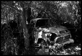 Forgotten* by Paul Stuckless