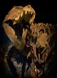 alien*