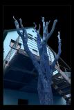 BlueNight