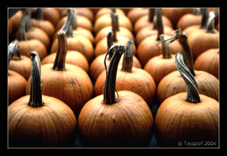 <b>Halloween *</b><br><i>by Teapot</i>