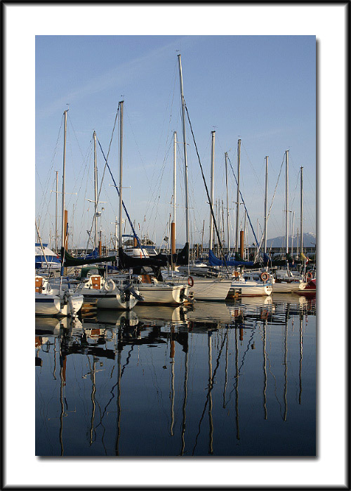 peace in the harbour - Rob