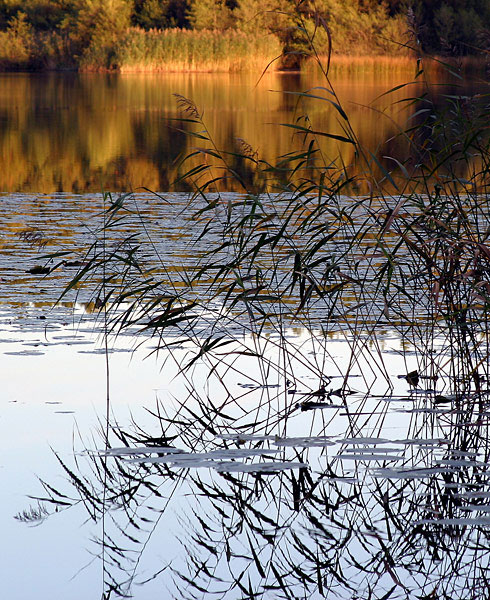 <b>Autumn</b>*<br><FONT size=1>annayu2</FONT>