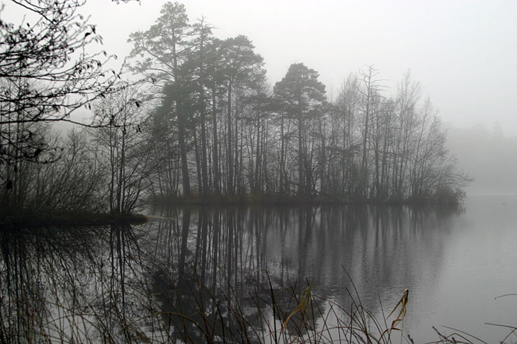 <b>Winter</b>*<br><FONT size=1>annayu2</FONT>