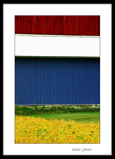 <b>5th Place</b><br><i>Primary, Graphic, Abstract<br>by Angela Johnson</i>