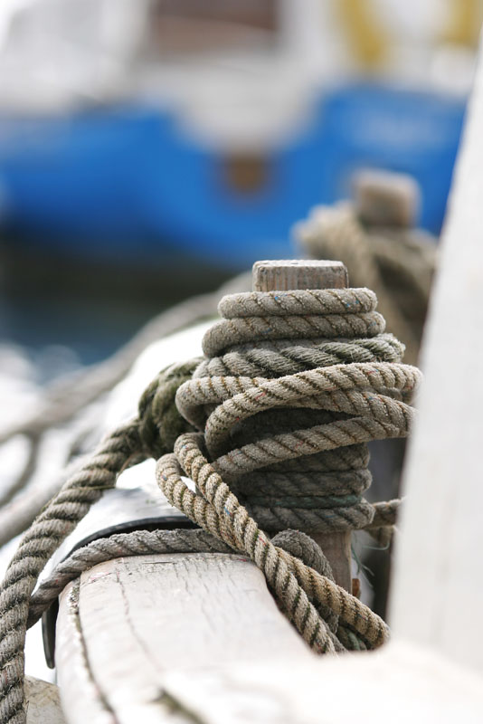 Tied up * by Mark Gillett