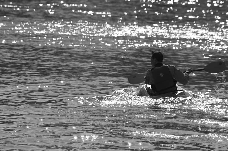 Splash