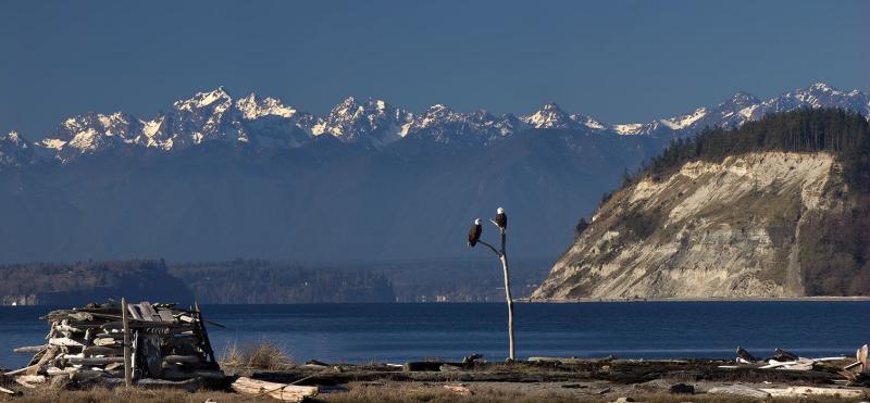 Another Clear Winter Day