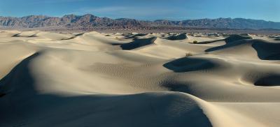 Within the Death Valley Dunes