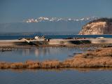 Shore Scene
