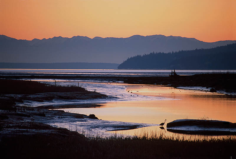 Dusk on Skagit Bay, WA