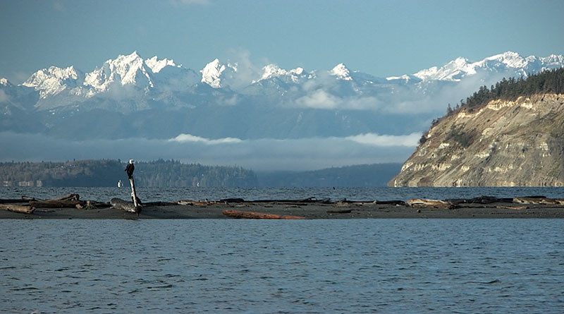 Late Fall, Useless Bay, Whidbey Is.