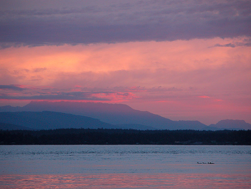 Mountain Glow, No. Olympic Mtns