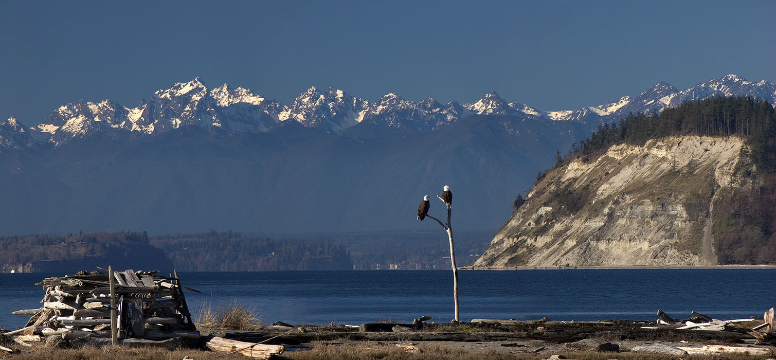 Another Clear Winter Day