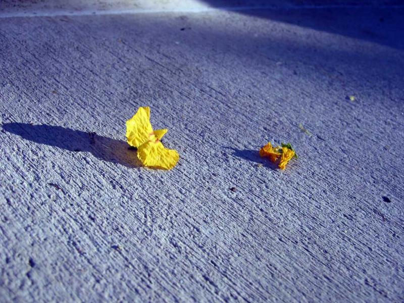 The fragility of life (*)
