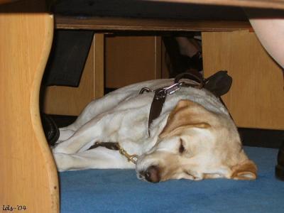 Under the Pew