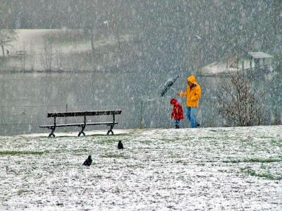 Snowing in the park