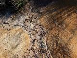 Rocks with sand