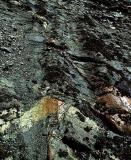 Pathways of a Past Glacier