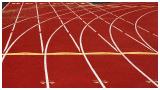 <b>Fast Track</b> *
