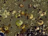 A Walk on the Ocean Floor