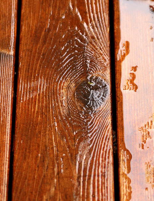 Wet Wood