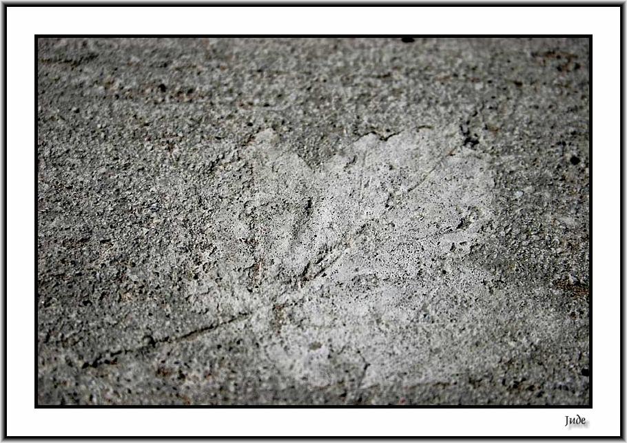 Leafprint